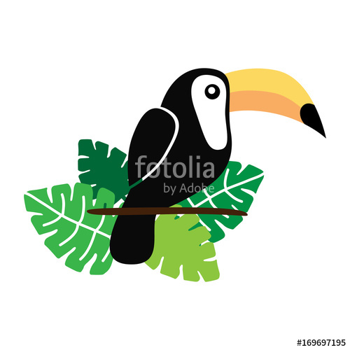 500x500 toucan bird vector illustration drawing, toucan with green