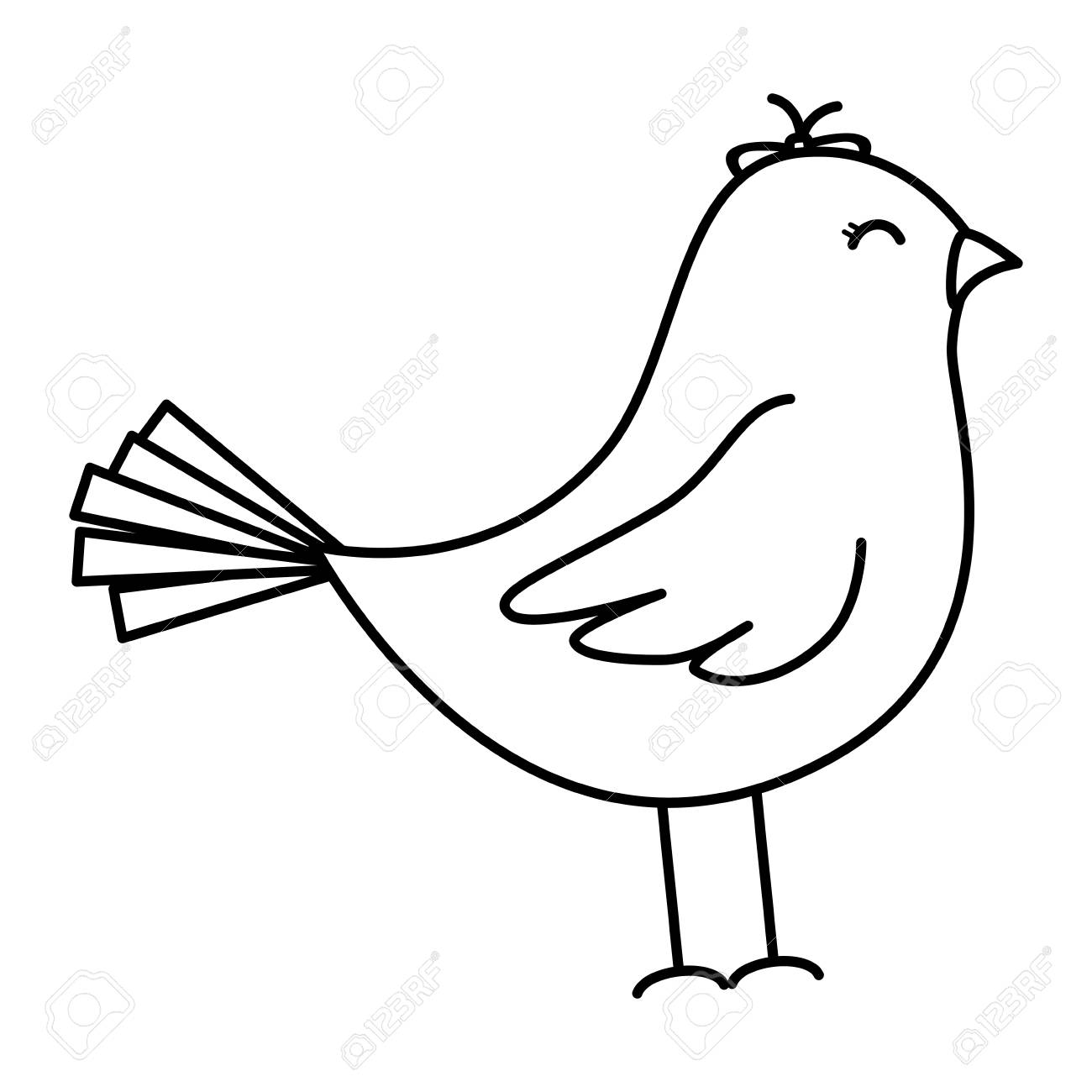 1300x1300 Funny Bird Drawing Cartoon Toucan Blue Sketches Hummingbird Tweety