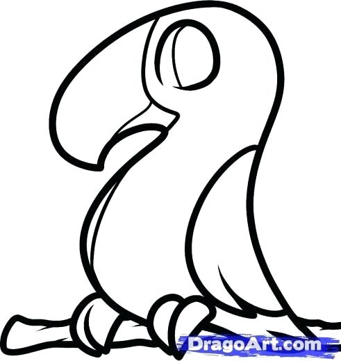 491x520 how to draw a tocan how to draw a toucan draw so cute toucan