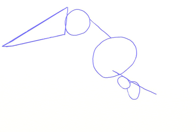 400x270 How To Draw A Toucan