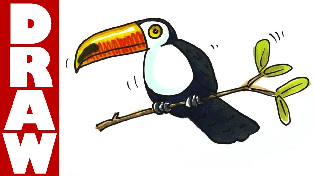1280x720 How To Draw A Toucan