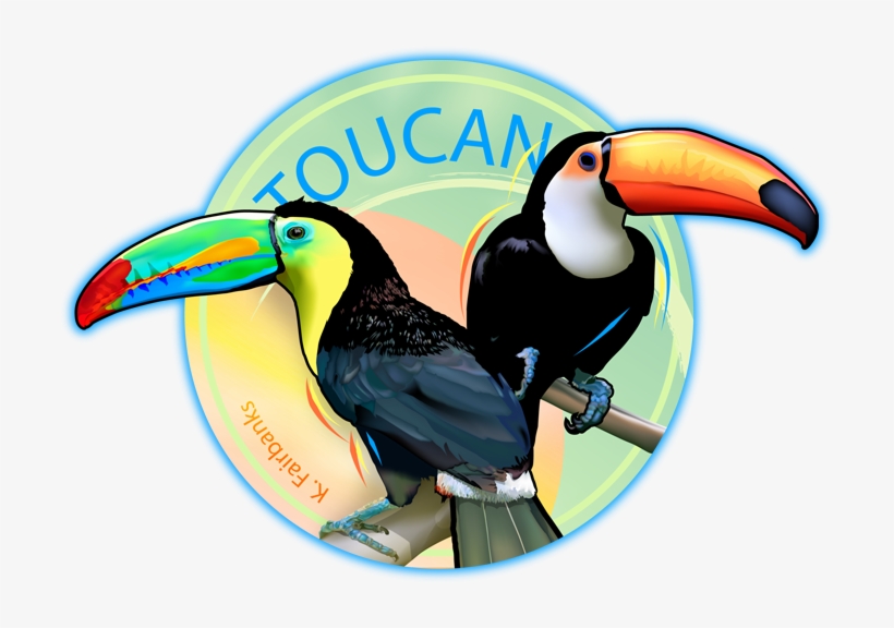 820x576 Toucan Digital Drawing