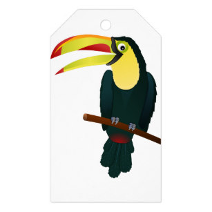 307x307 Toucan Drawing Gifts On Zazzle Au