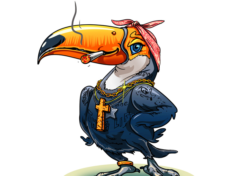 800x600 Toucan Smoking