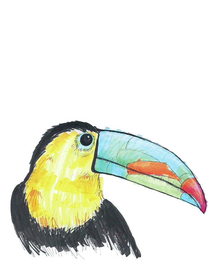 758x900 Colorful Toucan Drawing