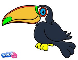 300x228 Comment Dessiner How To Draw A Toucan