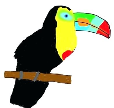 392x370 how to draw a toucan draw a toucan how to draw a realistic toucan