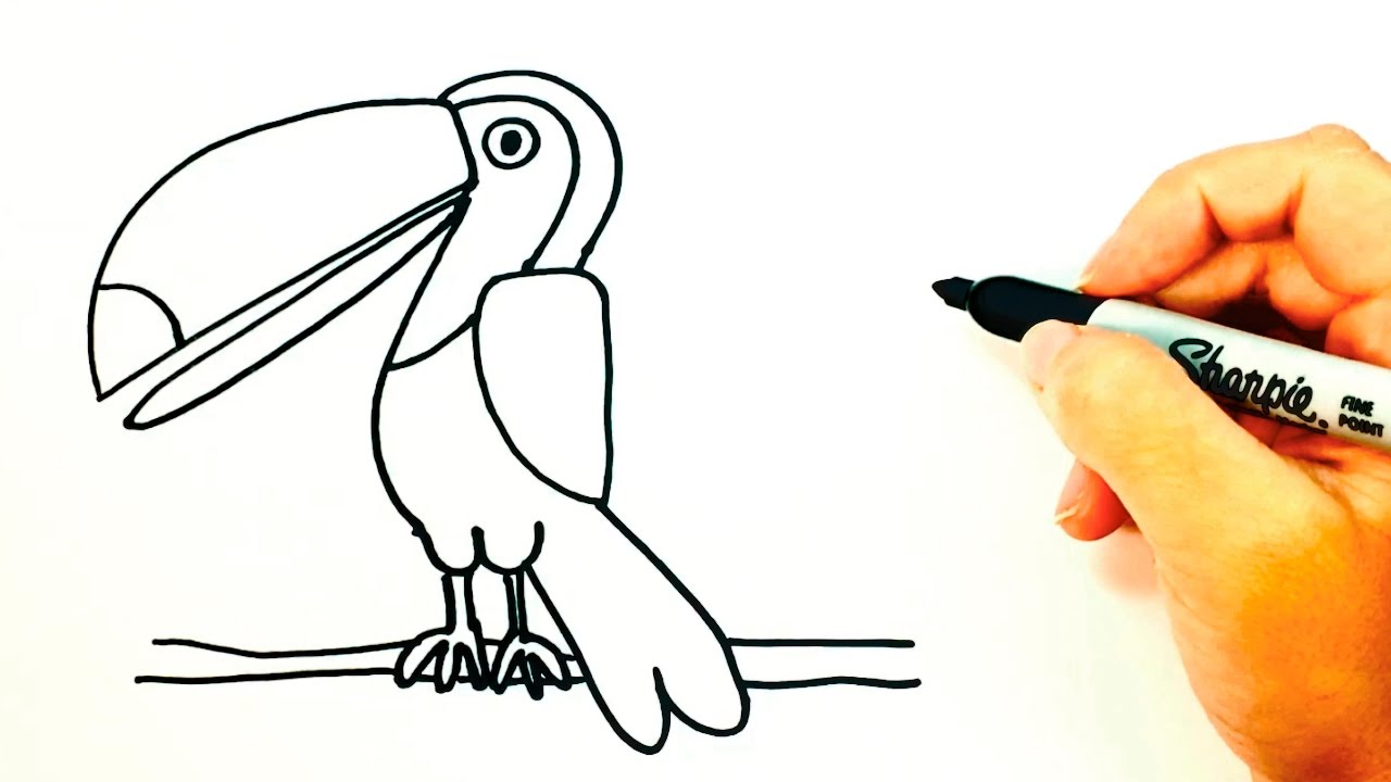 1280x720 how to draw a toucan for kids toucan drawing lesson step