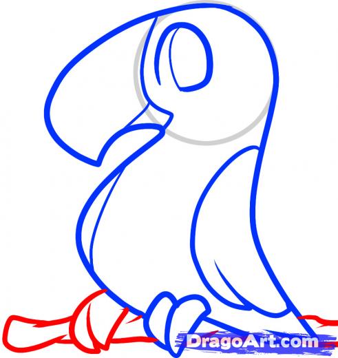 491x520 Learn How To Draw A Toucan For Kids, Animals For Kids, For Kids