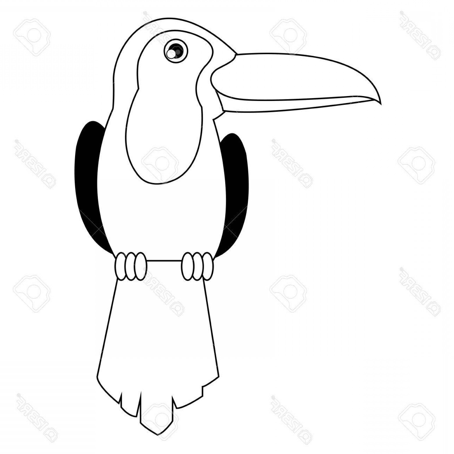 1560x1560 Photostock Vector Simple Flat Line Design Toucan Icon Vector