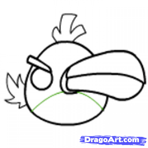 520x520 Step How To Draw The Toucan Bird