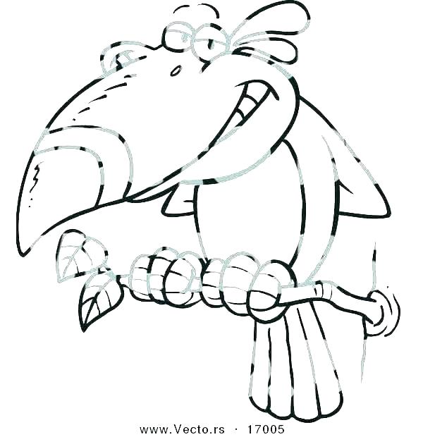 600x620 toucan coloring pages toucan coloring