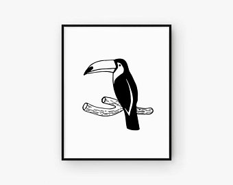 340x270 Toucan Print Etsy