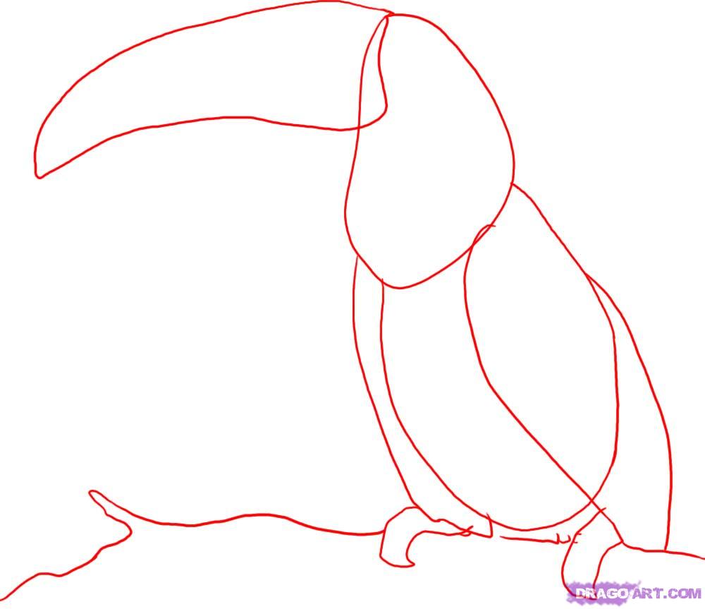 1000x863 Draw A Toucan, Step