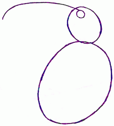 226x250 Exam Guide Online