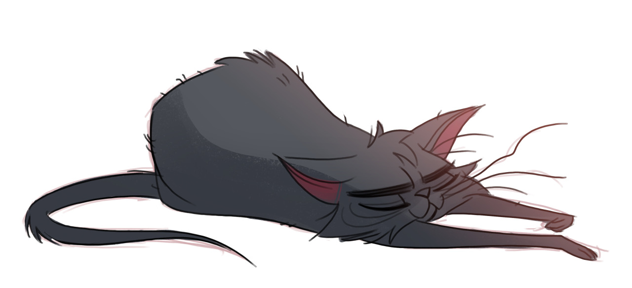 1280x584 Daily Cat Drawings