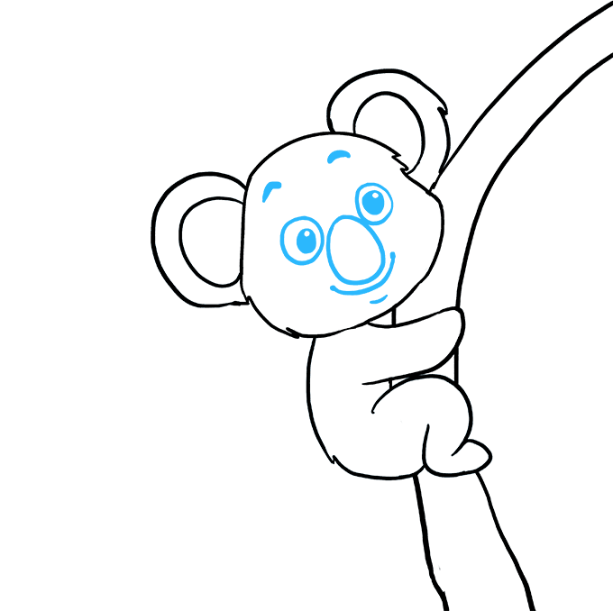 680x678 How To Draw A Koala