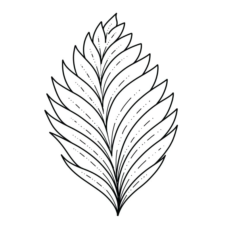 800x800 Drawing Leaf