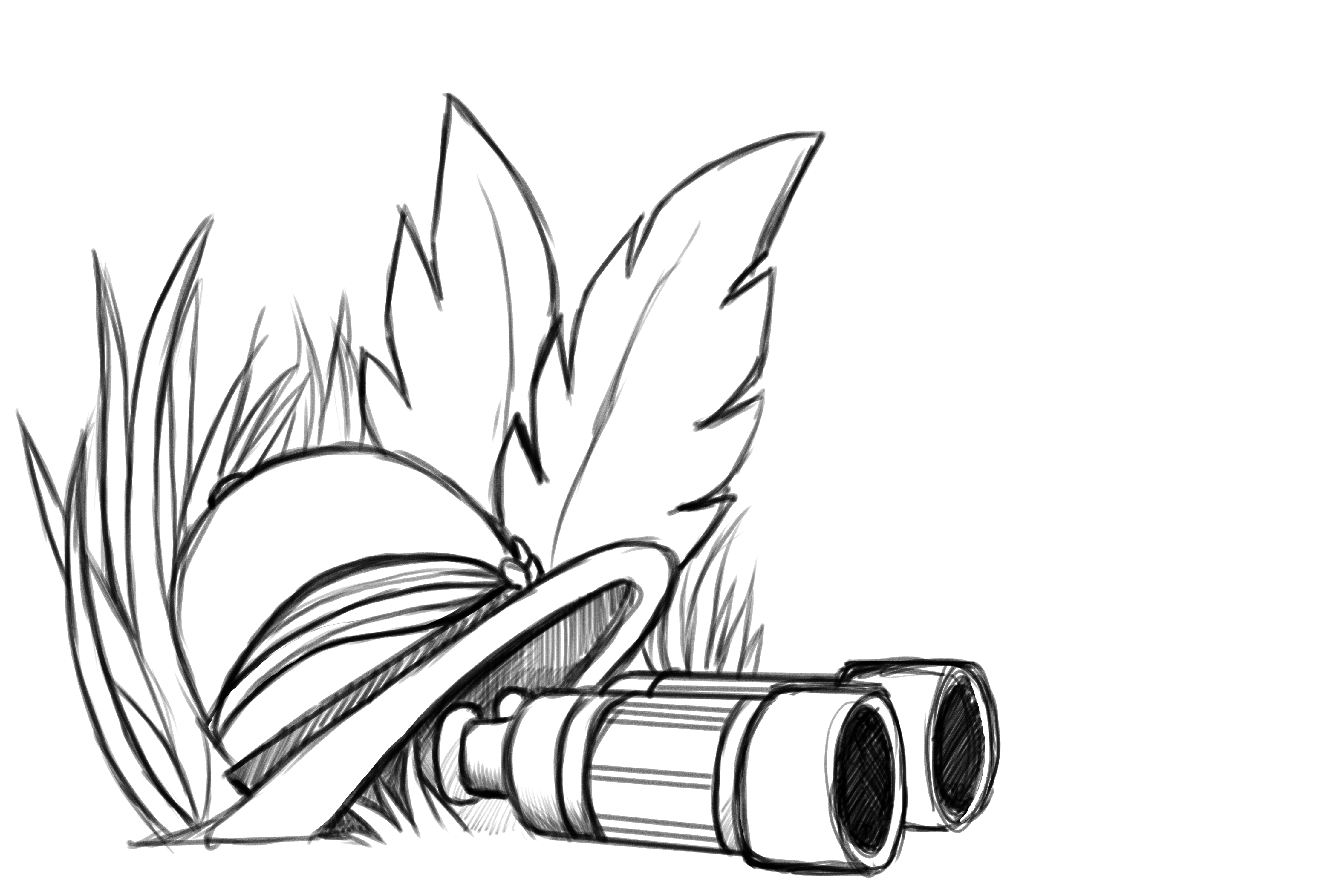 4491x3000 Experiences And Tours With Locals