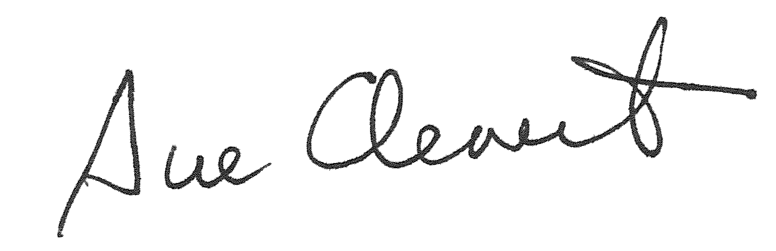 1596x516 Student Tours Mcnay Art Museum