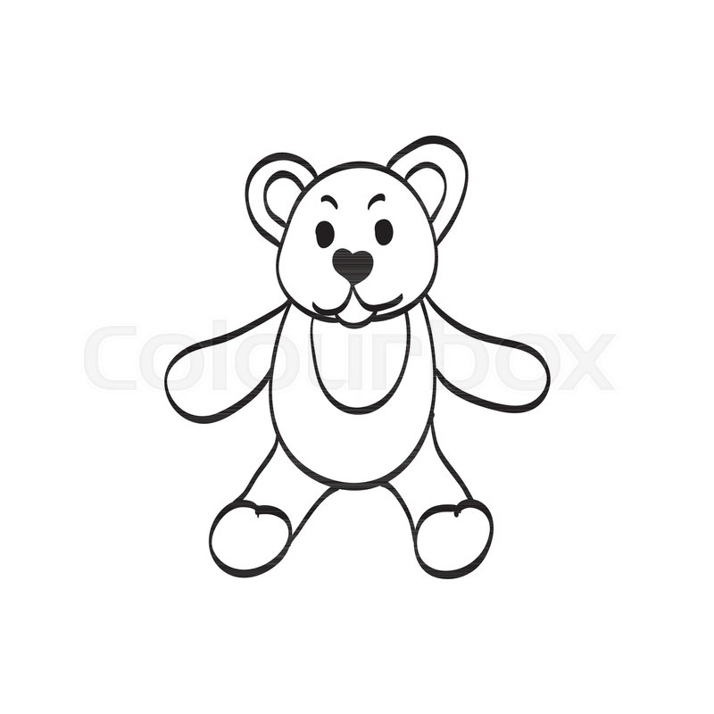 800x800 Teddy Bear Sketch Drawing On A White Stock Vector Colourbox