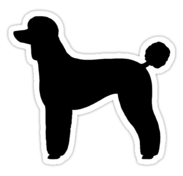 375x360 Collection Of Free Drawing Poodles Toy Poodle Download On Ui Ex
