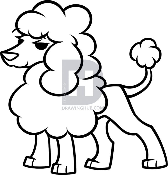 690x720 How To Draw A Toy Poodle, Step