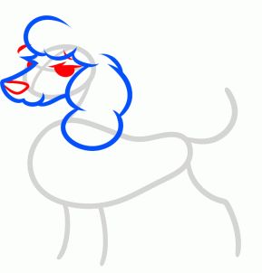 289x302 How To Draw A Toy Poodle, Step