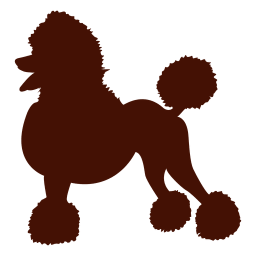 512x512 Collection Of Free Drawing Poodles Miniature Poodle Download On Ui Ex