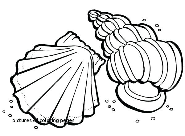 600x442 Coloring Pages Printable Summer For Kids Disney Adults To Print