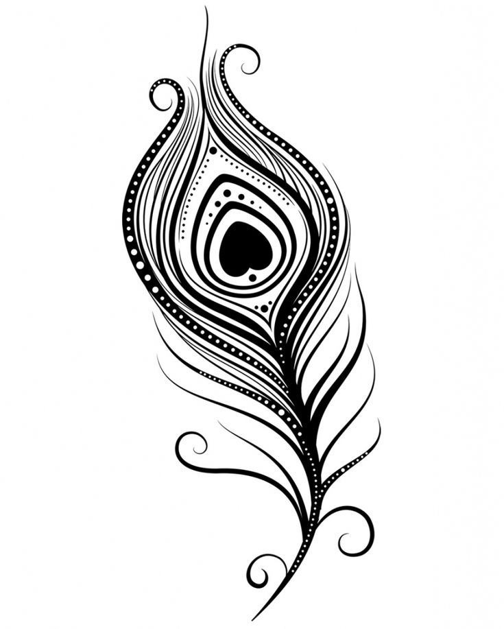 735x917 Easy Traceable Drawings Simple Peacock Feather Drawing Images