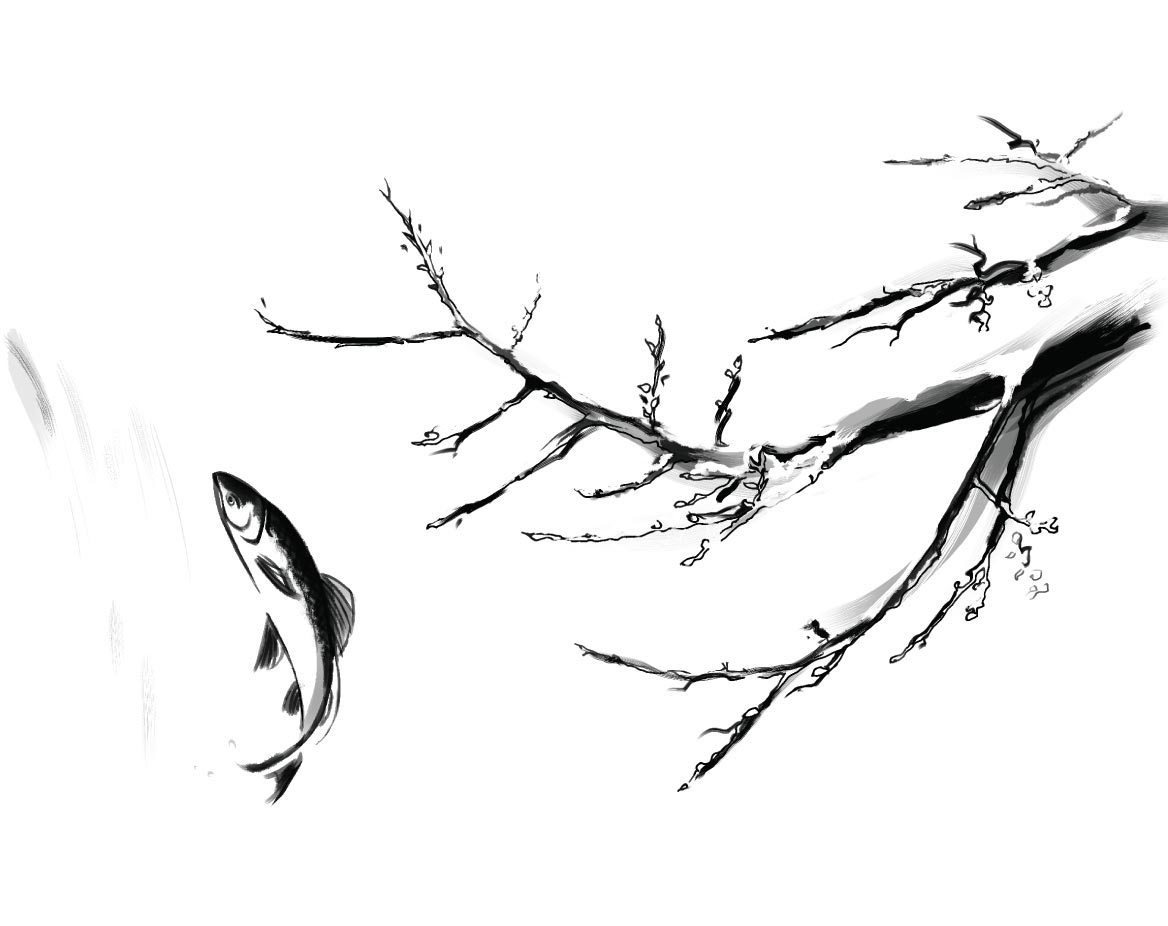 1168x926 Design Project Microseasons Of Japan Lisa Furze