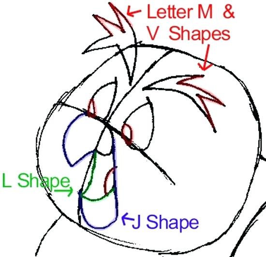 550x531 Easy Draw Owl Easy To Draw Barn Owl