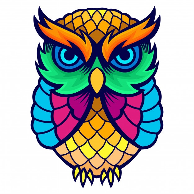 626x626 Owl Vectors, Photos And Free Download