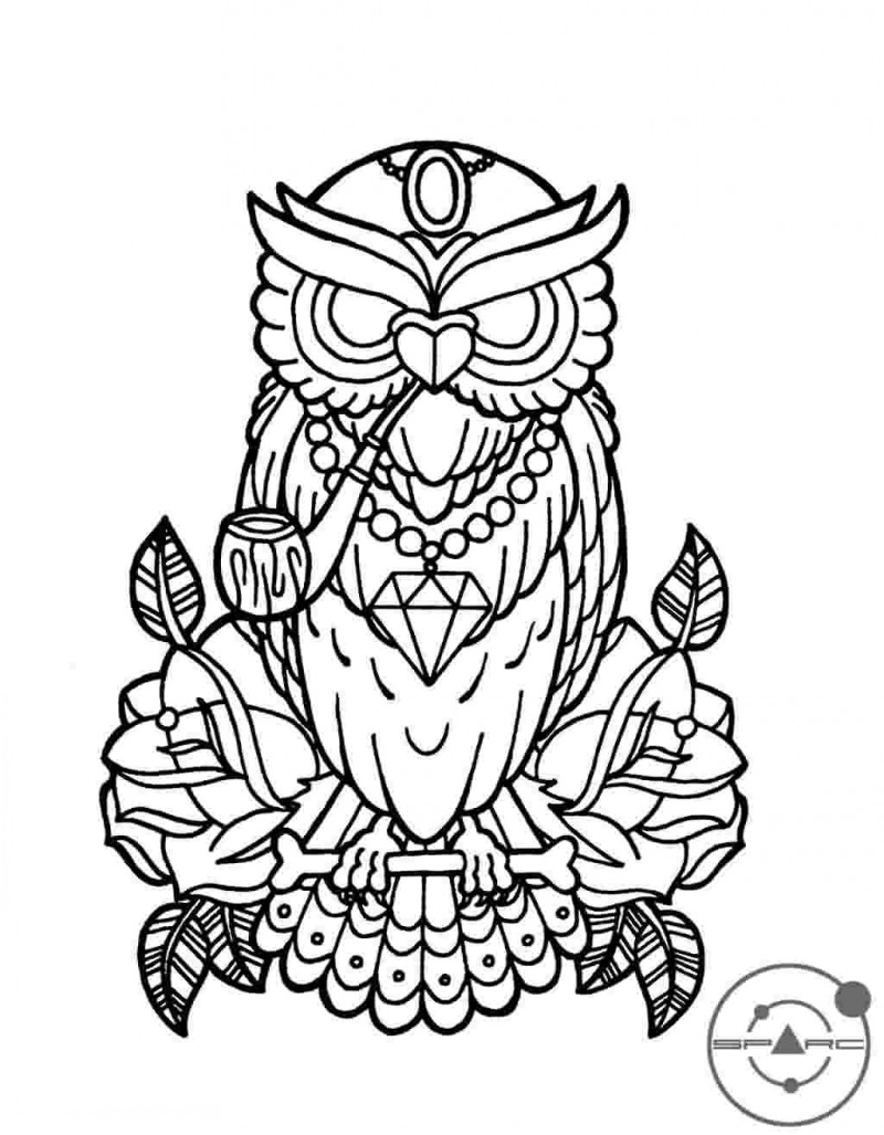 800x1027 Owl Drawing Free Download