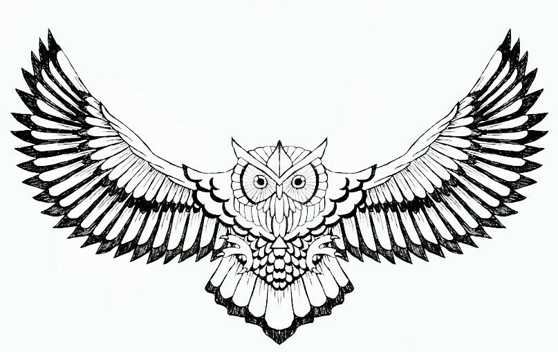 Traditional Owl Drawing | Free download on ClipArtMag