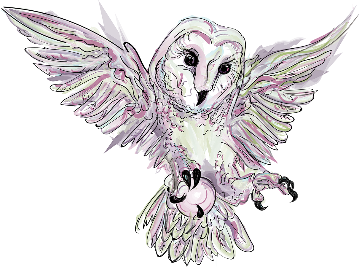 1211x900 Why The Owl Mystical Nancy