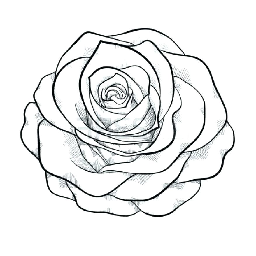 878x878 Rose Drawing Outline Rose Outline Photo Sharing