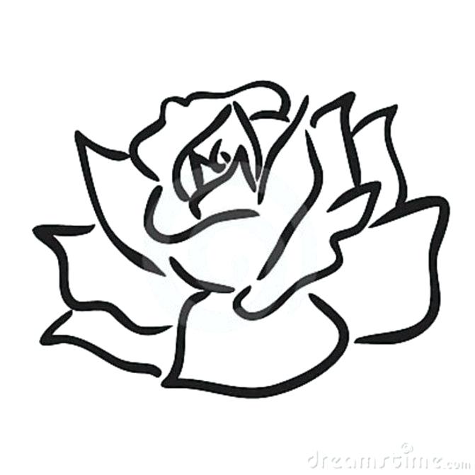 671x671 simple rose bud drawing how to draw a rosebud simple rose bud
