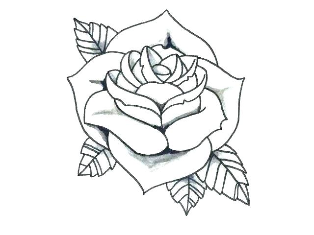 Traditional Rose Drawing | Free download on ClipArtMag