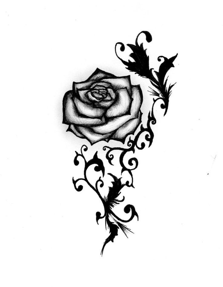 Traditional Rose Drawing | Free download on ClipArtMag