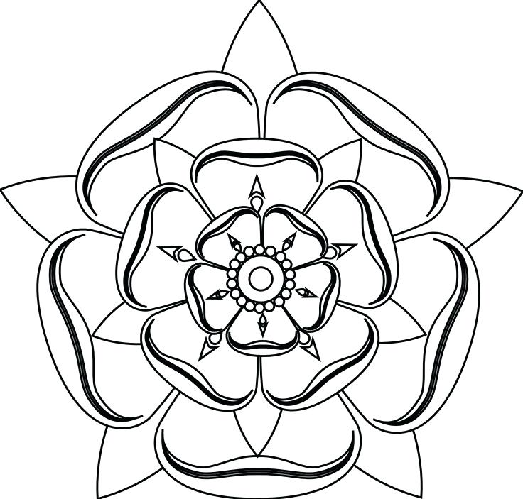 736x703 Line Drawing Of A Rose Drawing Line Drawing Rose Tattoo