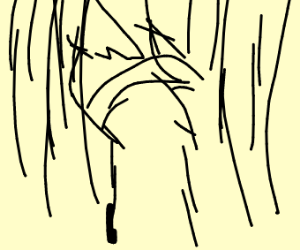 300x250 The Oregon Trail