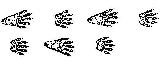 533x230 Collection Of Free Footprint Drawing Trail Download On Ui Ex