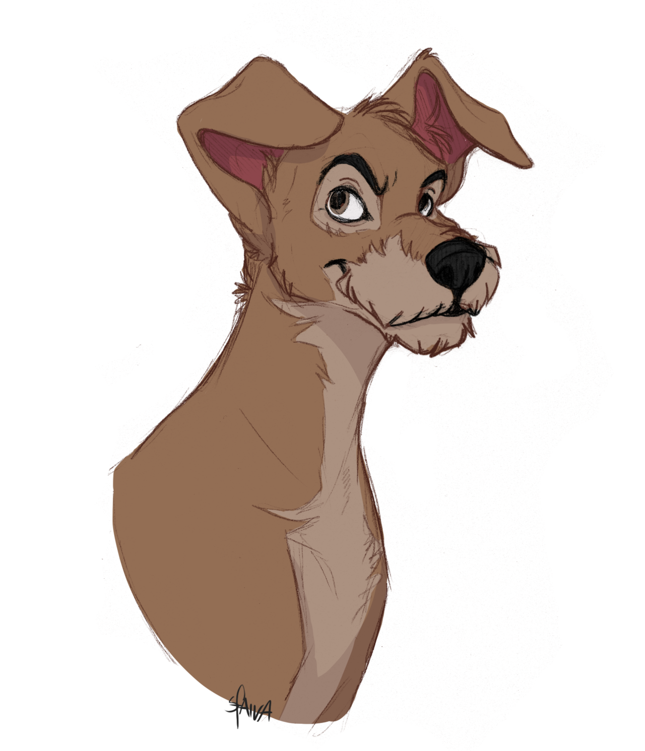 1280x1490 Sfaira Quick Tramp Without References In Meanwhile