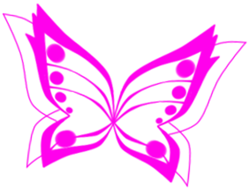 800x610 Collection Of Free Butterfly Drawing Transformation Download On Ui Ex