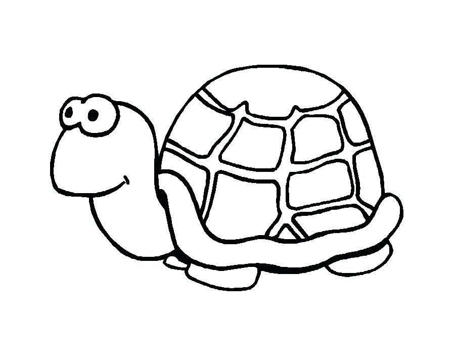 900x720 Drawing Turtles Image Titled Draw A Turtle Step Drawing Ninja