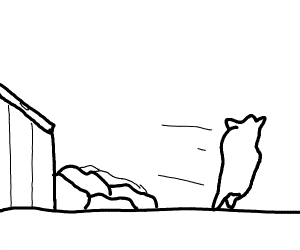 300x250 Landfill Museum