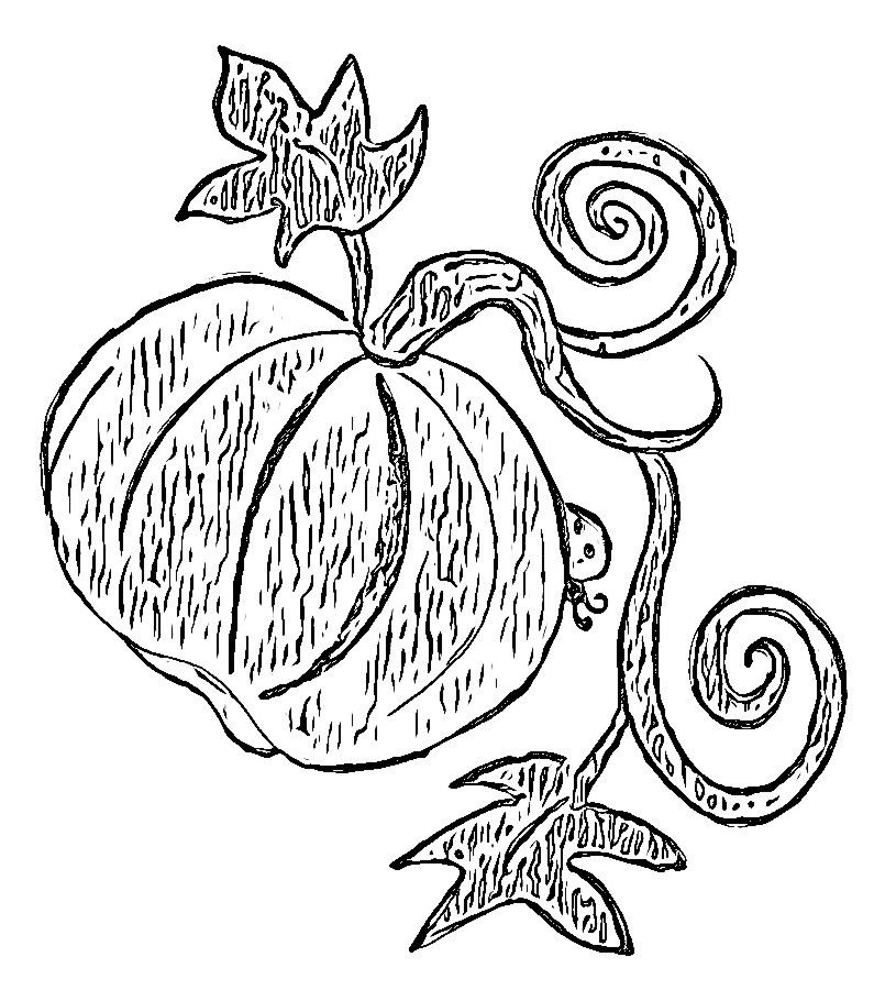 795x900 treasure box pencil paper paint create harvest harvest