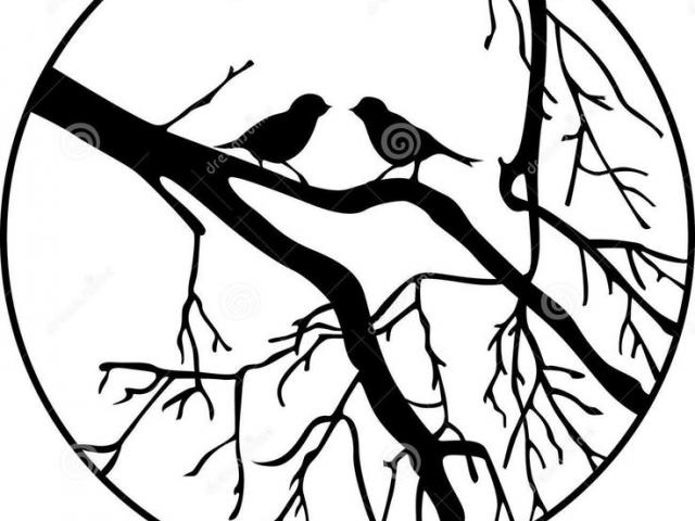 640x480 Drawn Bird Tree Drawing